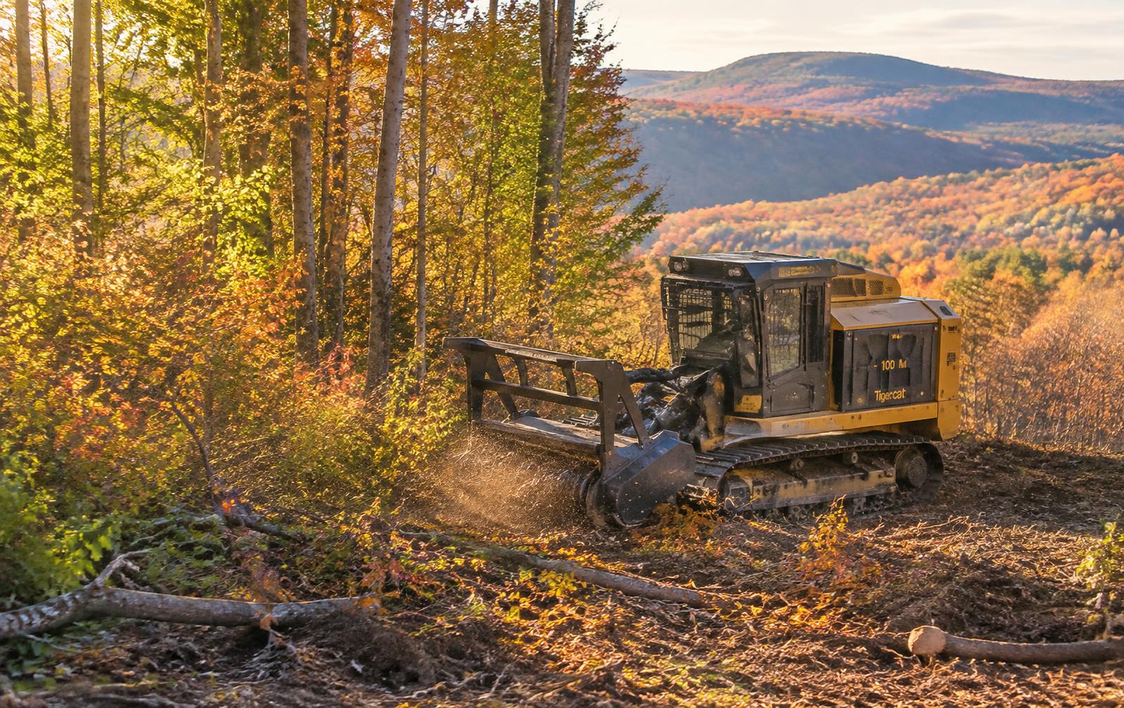 Forestry mulcher clearing brush on a Vermont hillside