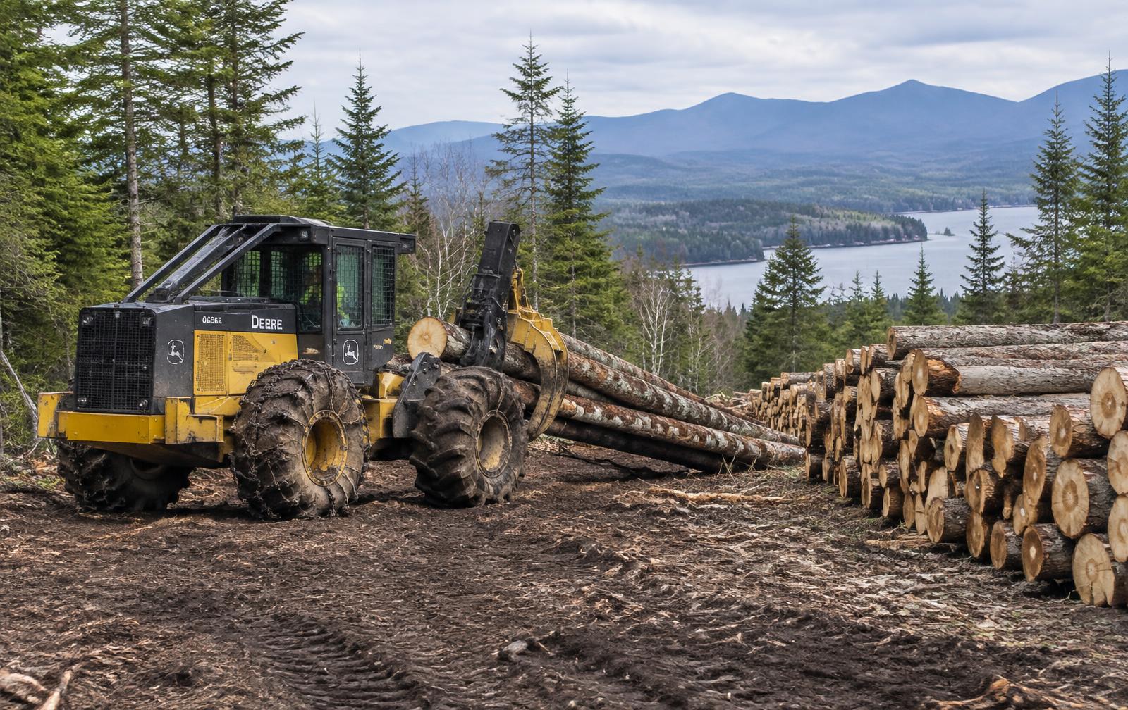 Skidder hauling logs to a landing